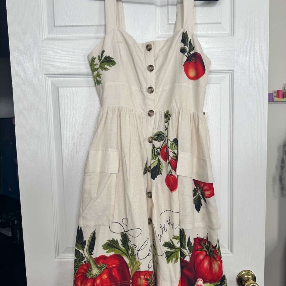 Anthropologie Cream and Red Midi Dress